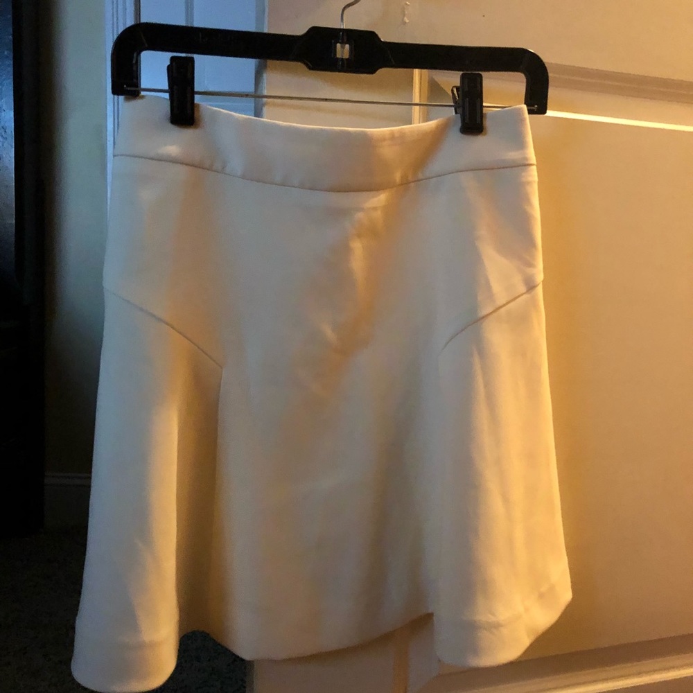 Express skirt